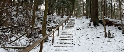 Krościenko, ul. Św. Kingi ↔ Przełęcz Sosnów