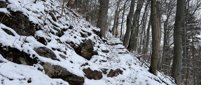 Czertezik ↔ Przełęcz Sosnów