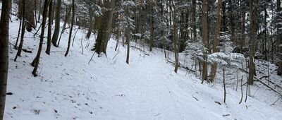 Czertezik ↔ Czerteż