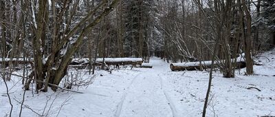 Bańków Gronik ↔ Burzana