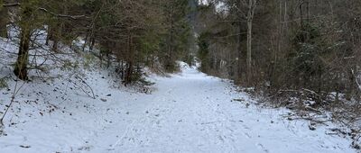 Przełęcz Szopka ↔ Szopczański Potok