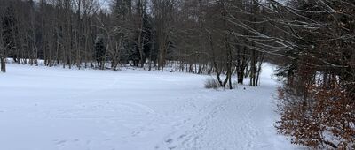 Polana Wyrobek ↔ Przełęcz Szopka