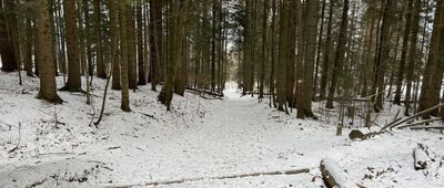 Toporzysko ↔ Bańków Gronik