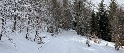 Pod Stusem ↔ Przełęcz Knurowska