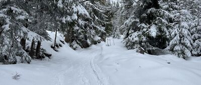 Kiczora ↔ Rąbaniska