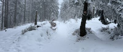 Schronisko PTTK Turbacz