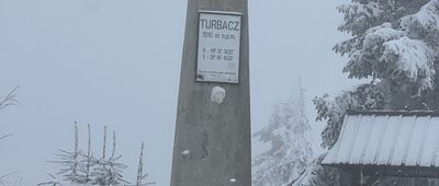 Turbacz