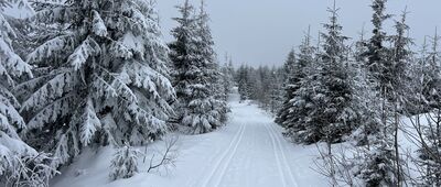 Rozdziele ↔ Turbacz