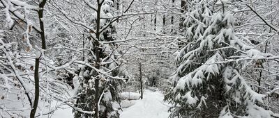 Polana Suhora ↔ Obidowiec