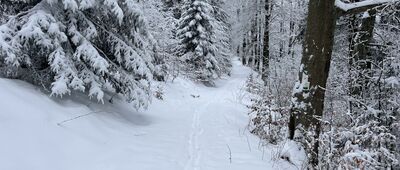 Polana Pudziska ↔ Polana Suhora