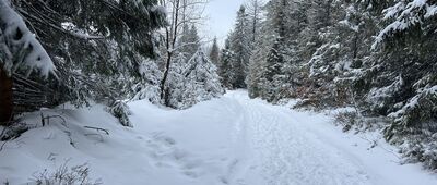 Schronisko PTTK Stare Wierchy ↔ Polana Pudziska