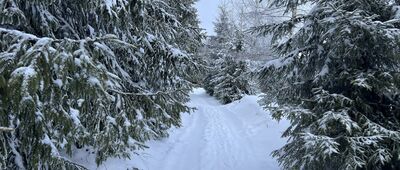 Schronisko PTTK Stare Wierchy