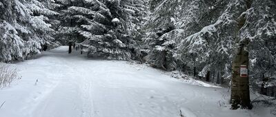 Jasionów ↔ Przełęcz Pośrednie