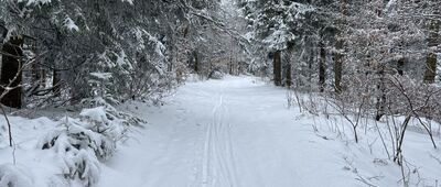 Pod Wierchową ↔ Jasionów