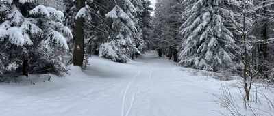 Jasionów ↔ Przełęcz Pośrednie
