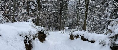 Obidowa ↔ Stare Wierchy