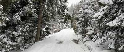 Łapsowa ↔ Bukowina Obidowska