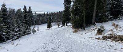 Koliba na Łapsowej Polanie