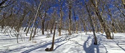 Polana ↔ Pod Rabią Skałą