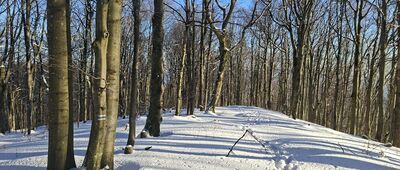 Pod Rabią Skałą ↔ Przełęcz pod Borsukiem