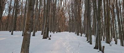 Przełęcz pod Borsukiem ↔ Czerteż