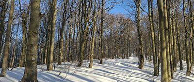 Przełęcz pod Borsukiem ↔ Czerteż