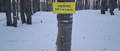 Czerteż
