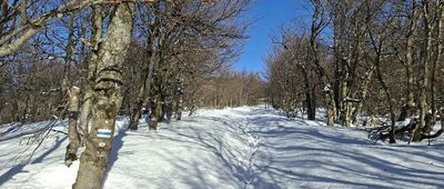 Czerteż ↔ Krzemieniec