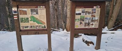 Nova Sedlica ↔ Krzemieniec