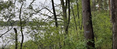 Jezioro Białe ↔ Szarcz