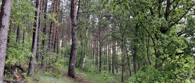 Jezioro Białe ↔ Szarcz