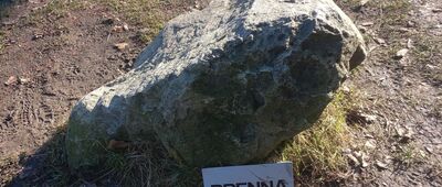 Trzy Kopce Wiślańskie [Skała na Trzech Kopcach]