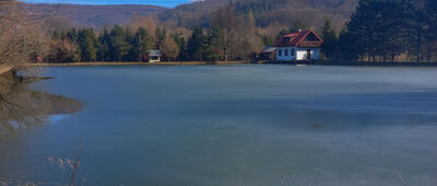 Ustroń, Polana, Papiernia [Staw przy przystanku Ustroń Polana]