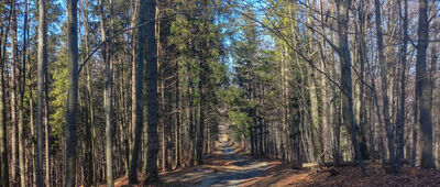 Zakrzosek ↔ Pod Trzema Kopcami [Widok spod Zakrzoska]