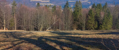 Pod Trzema Kopcami ↔ Trzy Kopce Wiślańskie [Widok spod Trzech Kopców]