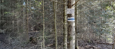 Pod Wolnikiem ↔ Pod Beskidami