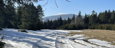 Przełęcz nad Wąwozem ↔ Pod Wolnikiem
