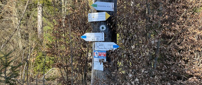 Przełęcz nad Wąwozem