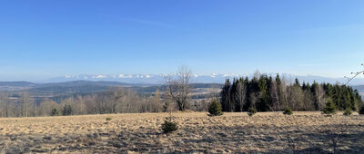 Przełęcz Zubrzycka ↔ Przełęcz nad Wąwozem