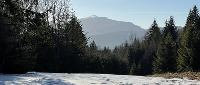 Przełęcz Zubrzycka ↔ Przełęcz nad Wąwozem