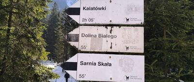 Polana Strążyska, odejście szlaku żółtego