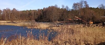 Zaborze, Masłoniowizna, skrzyżowanie ↔ Zaborze, Masłoniowizna