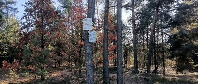 Zaborze, Masłoniowizna, skrzyżowanie