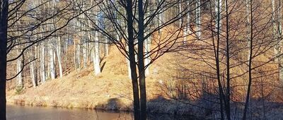 Stawy nad Głuszycą