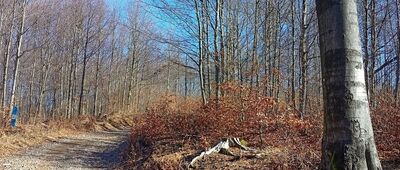 Pod Stróżową Górą