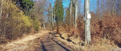 Pod Stróżową Górą