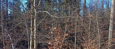 Pod Stróżową Górą