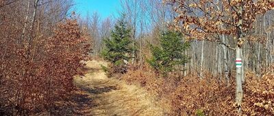 Przełęcz Marcowa ↔ Pod Stróżową Górą