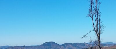 Przełęcz Marcowa ↔ Włodarz