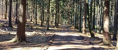 Włodarz ↔ Rozdroże pod Moszną